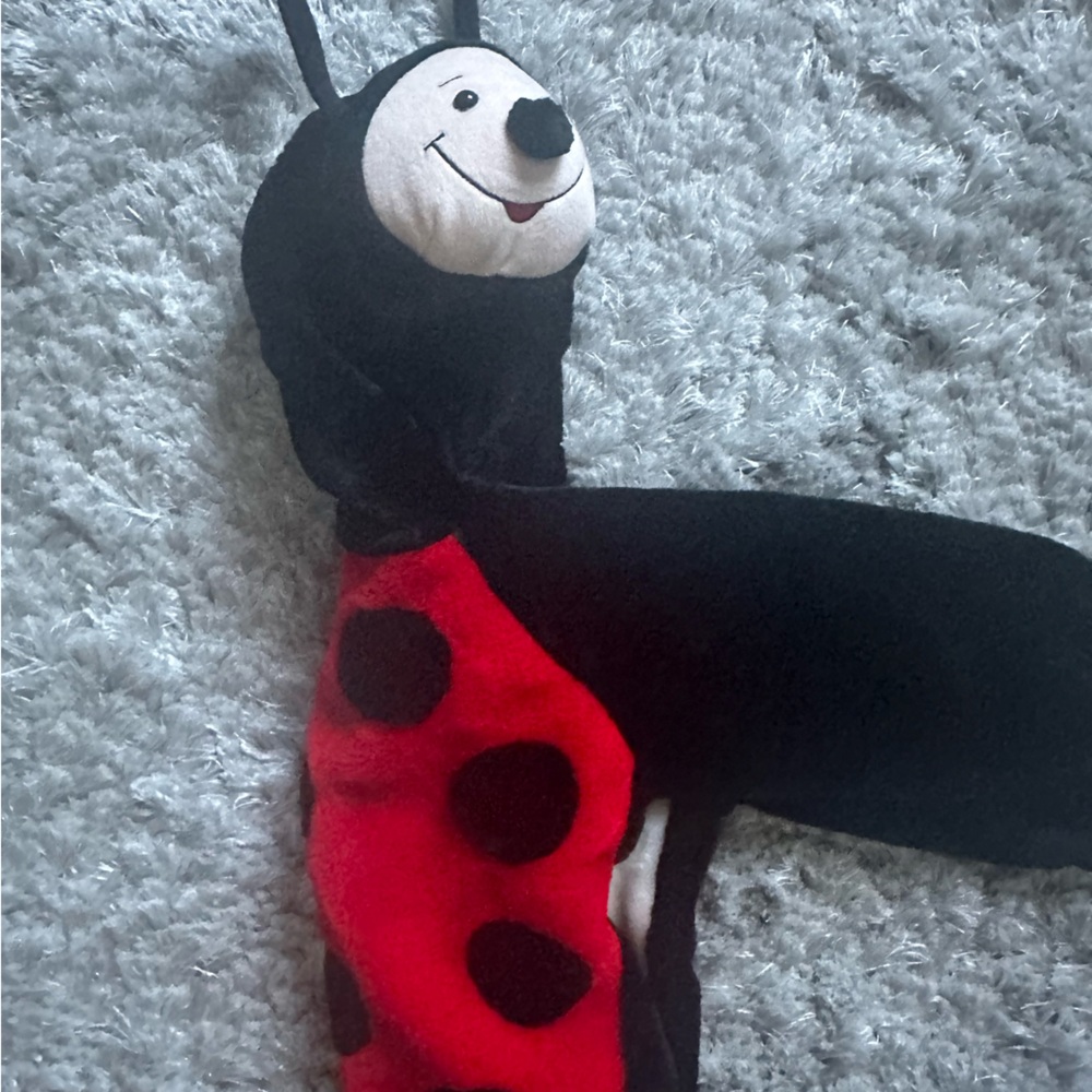 Ladybug costume